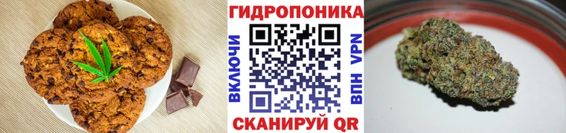 Canna-Cookies конопля  ОМГ ОМГ зеркало  Кохма 