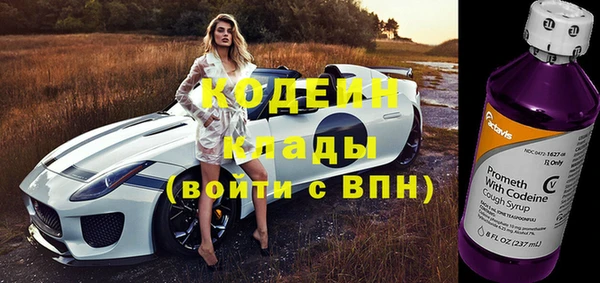 трава Пересвет