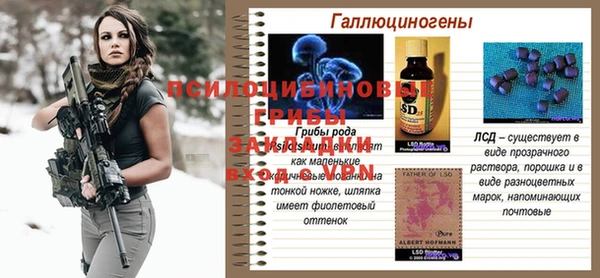 а пвп мука Абаза