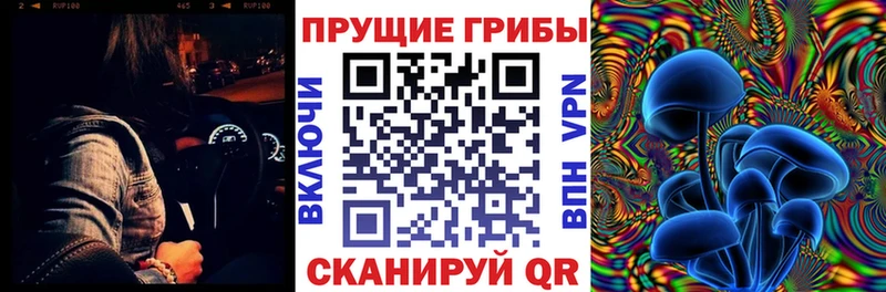 купить наркоту  Кохма  Псилоцибиновые грибы ЛСД 